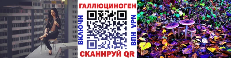 Галлюциногенные грибы Psilocybe  Купить закладки  Щигры 